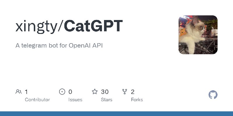 GitHub - xingty/CatGPT: A telegram bot for OpenAI API