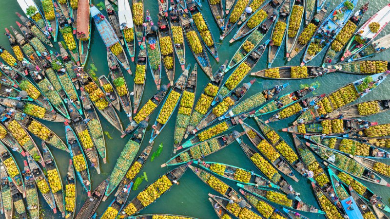 物价喜人卡普泰湖水上市场，兰加马蒂，孟加拉 (© Azim Khan Ronnie/Amazing Aerial Agency)