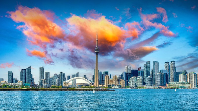 2024年多伦多国际电影节多伦多城市天际线,加拿大 (© Roberto Machado Noa/Getty Images)原图