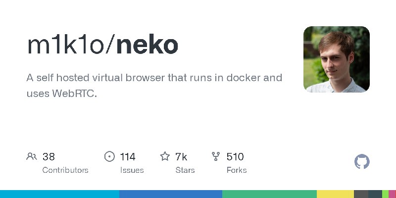 GitHub - m1k1o/neko: A self hosted virtual browser that runs in docker and uses WebRTC.