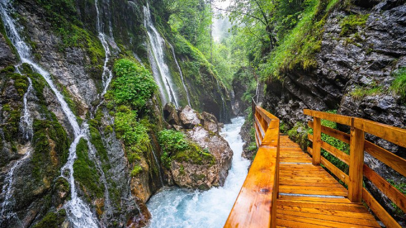 #Bing_Wallpaper水声低语温巴赫峡谷瀑布，巴伐利亚州，德国 (© EyeEm Mobile GmbH/Getty Images)4K | 1080P