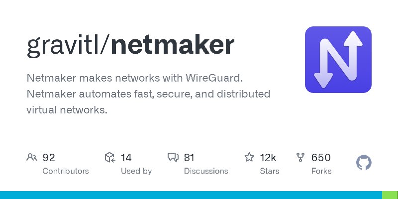 GitHub - gravitl/netmaker: Netmaker makes networks with WireGuard. Netmaker automates fast, secure, and distributed virtual networks.