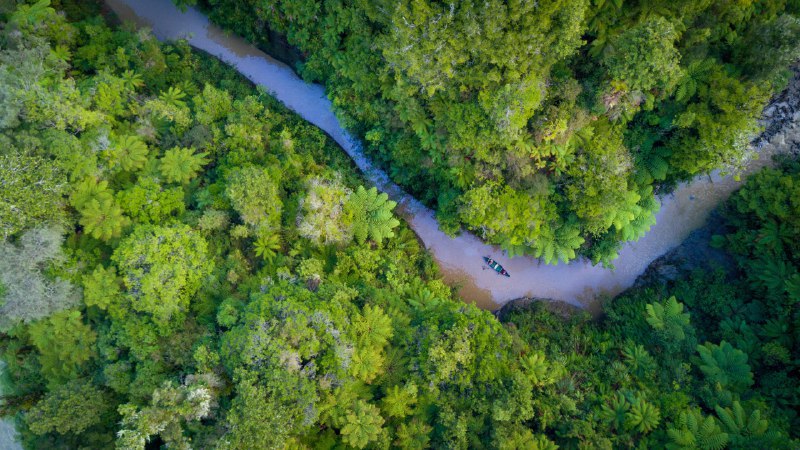 #Bing_Wallpaper随河而行旺格努伊国家公园，雷塔鲁克，新西兰 (© Matthew Micah Wright/Getty Images)4K | 1080P