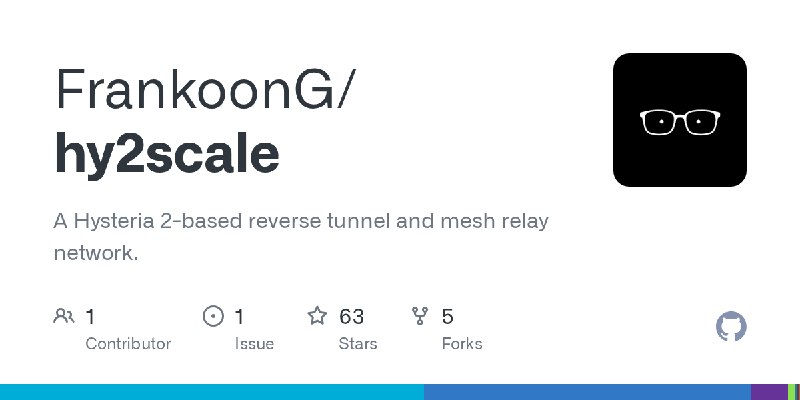 GitHub - FrankoonG/hy2scale: A Hysteria 2-based reverse tunnel and mesh relay network.
