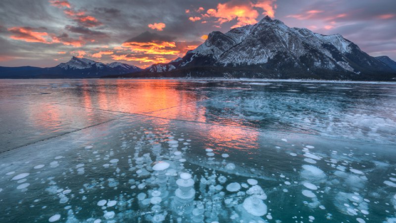 #Bing_Wallpaper冰层中气泡奇观亚伯拉罕湖，阿尔伯塔省，加拿大 (© Basic Elements Photography/Getty Images)4K