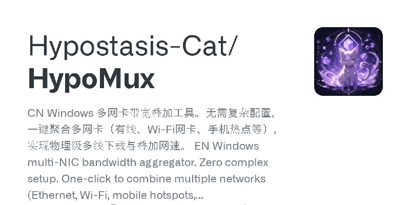 GitHub - Hypostasis-Cat/HypoMux: CN Windows 多网卡带宽叠加工具。无需复杂配置，一键聚合多网卡（有线、Wi-Fi网卡、手机热点等），实现物理级多线下载与叠加网速。 EN Windows multi-NIC bandwidth…