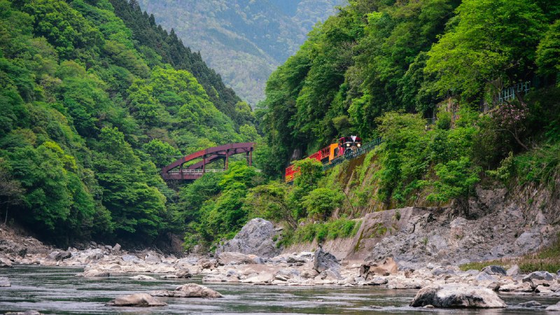 #Bing_Wallpaper山间奔驰沿着岚山保津川行驶的火车，京都，日本 (© Alvin Huang/Getty Images)4K