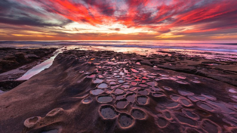 #Bing_Wallpaper潮起潮落拉霍亚的潮汐池 ‌, 加利福尼亚州, 美国 (© Andrew Shoemaker/DanitaDelimont.com)4K
