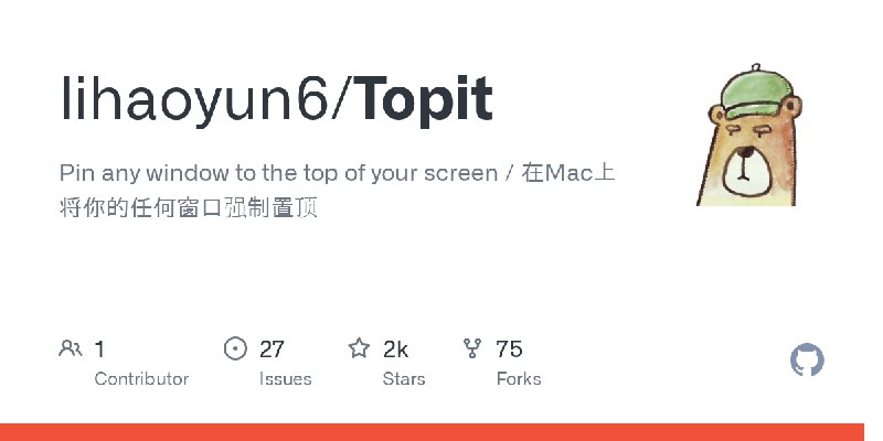 GitHub - lihaoyun6/Topit: Pin any window to the top of your screen / 在Mac上将你的任何窗口强制置顶