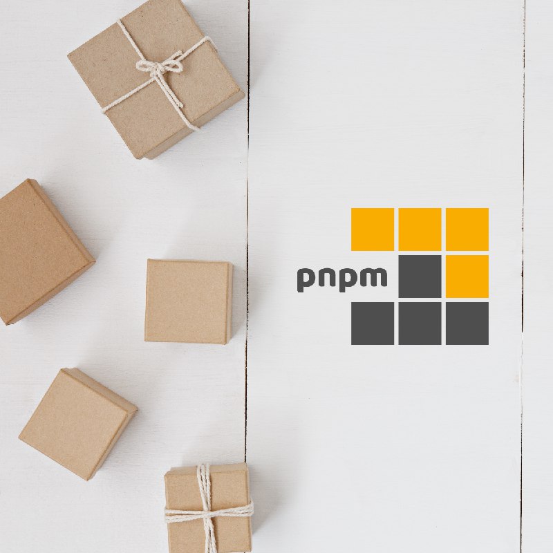 pnpm 12.4 | pnpm