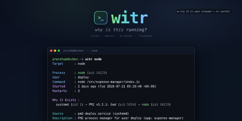 GitHub - pranshuparmar/witr: Why is this running? Trace any process, port, container, or file back to what started it - CLI + TUI.