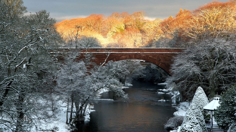 #Bing_Wallpaper传统熠熠生辉伯恩斯国家遗产公园，艾尔，南艾尔郡，苏格兰 (© Alister Firth/Alamy)4K | 1080P
