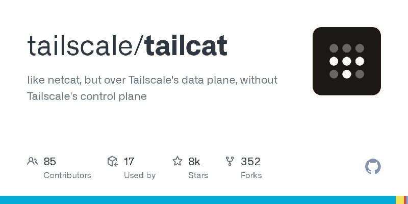 GitHub - tailscale/tailcat: like netcat, but over Tailscale's data plane, without Tailscale's control plane