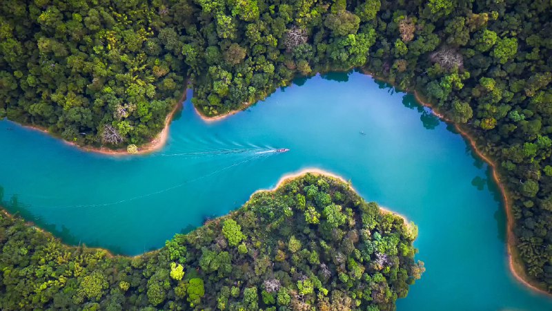 #Bing_Wallpaper丛林探险俯瞰拷索山林国家公园，素叻府，泰国 (© Peetatham Kongkapech/Getty Images)4K