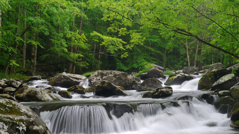 #Bing_Wallpaper流经烟雾弥漫之地小鸽子河，大雾山国家公园，田纳西州, 美国 (© GreenStock/Getty Images)4K