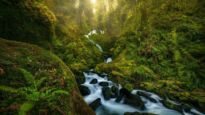 #Bing_Wallpaper苔藓与薄雾奥林匹克国家公园的瀑布, 华盛顿, 美国 (© Chris Moore/TANDEM Stills + Motion)4K