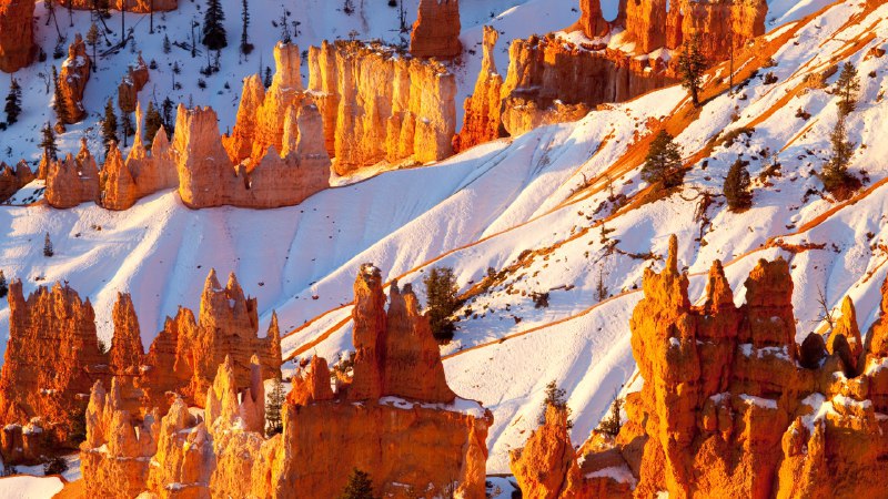 #Bing_Wallpaper风蚀石们的问候砂岩石柱，布莱斯峡谷国家公园，犹他州，美国 (© Stephen Matera/TANDEM Stills + Motion)4K