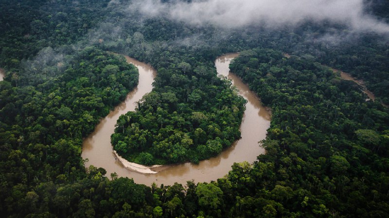 #Bing_Wallpaper一路丛林亚马逊雨林，厄瓜多尔 (© Mark Fox/Getty Images)4K