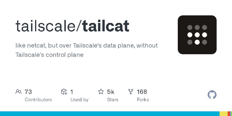 GitHub - tailscale/tailcat: like netcat, but over Tailscale's data plane, without Tailscale's control plane