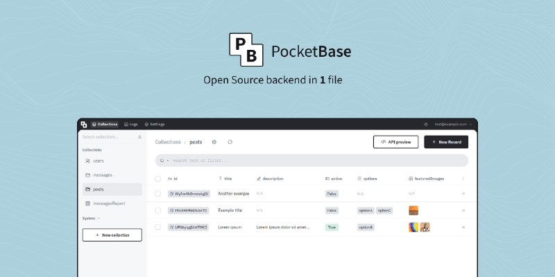 GitHub - pocketbase/pocketbase: Open Source realtime backend in 1 file