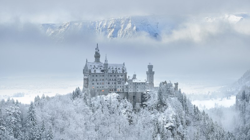 #Bing_Wallpaper巴伐利亚的瑰宝新天鹅堡，巴伐利亚州，德国 (© www.fredconcha.com @ All Rights Reserved/Getty Images)4K | 1080P