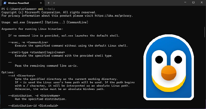 The Windows Subsystem for Linux is now open source