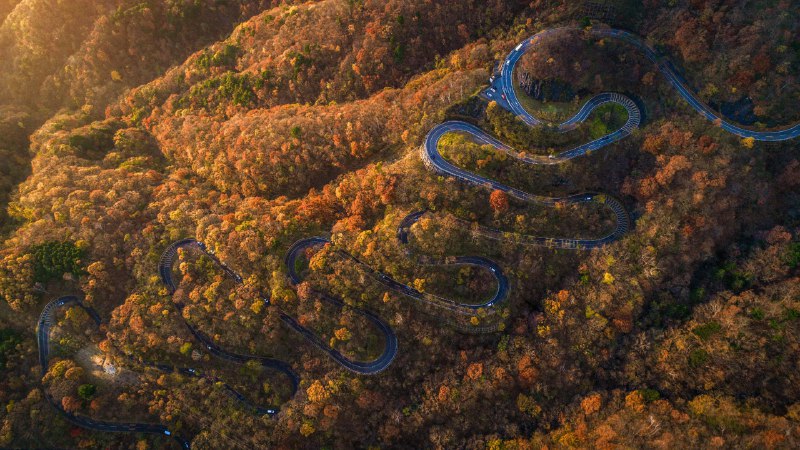 #Bing_Wallpaper像日光那样“弯道飞驰”秋天的伊吕波坂，日光市，栃木县，日本 (© oneinchpunch/Shutterstock)4K | 1080P