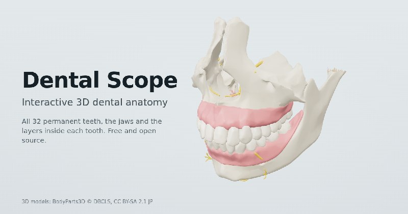 Dental Scope – Interactive 3D dental anatomy