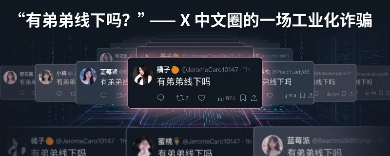 “有弟弟线下吗？” —— X 中文圈的一场工业化诈骗