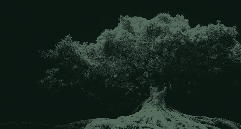 Black Forest Labs - Building Visual Intelligence