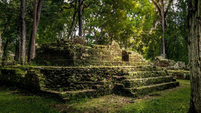 #Bing_Wallpaper绘制星图的城市科潘的玛雅遗址，洪都拉斯 (© diegograndi/Getty Images)4K | 1080P