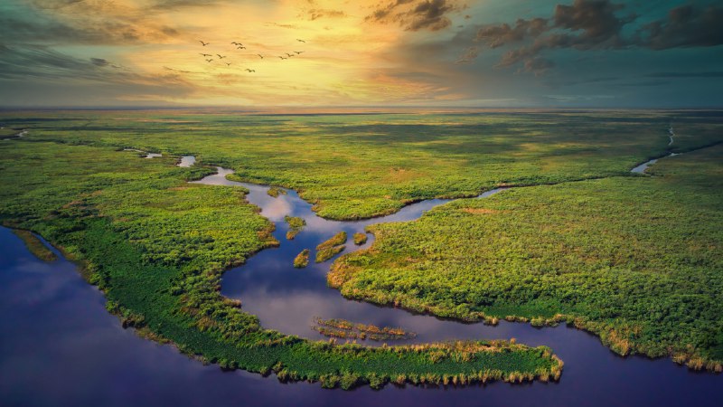 #Bing_Wallpaper草之河流大沼泽地国家公园的鸟瞰图，佛罗里达州，美国 (© Robert DelVecchio - OcuDrone/Getty Images)4K