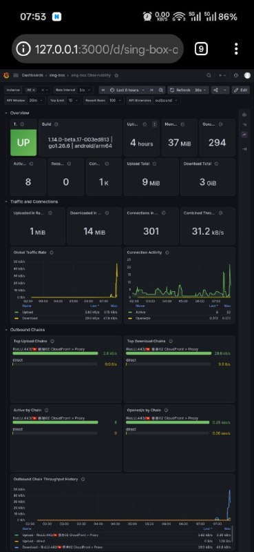 sing-box 可观测性测试版本在 testing-observability 分支中加入了专用可观测性 API，可在不保存本地连接历史数据库的情况下，查看更完整的运行与流量信息