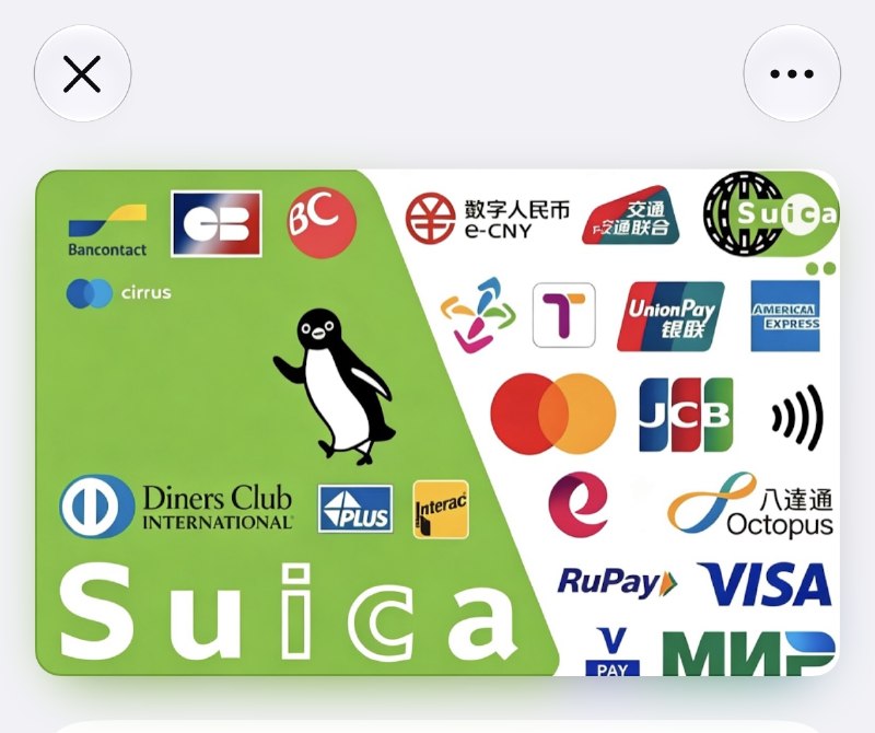 Apple Wallet / Apple Pay 自定义卡面（iOS 18+，无需越狱macOS原版： 