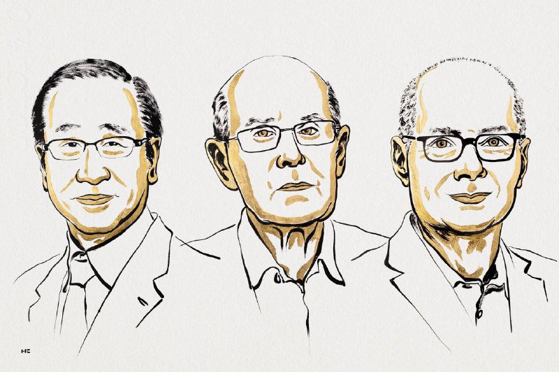 2025年诺贝尔化学奖授予Susumu Kitagawa、Richard Robson和Omar M. Yaghi，以表彰其在金属有机框架方面的进展